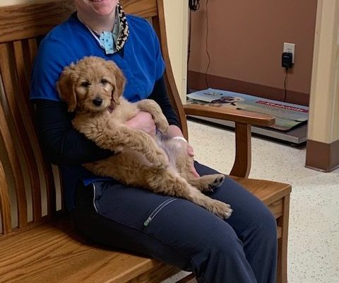 Taylor and puppy